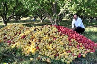 آقای وزیر سرسبزی‌های مازندران را کنار بزنید بدبختی‌هایش را ببیند