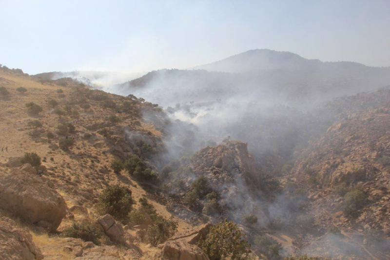 آتش سوزی در مراتع روستای سراسب بخش بلده نور