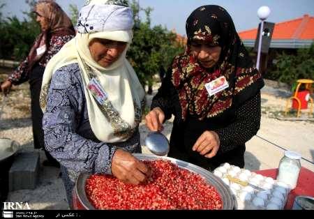 چهارمین جشنواره انار اشرف نیمه آبان برگزار می شود