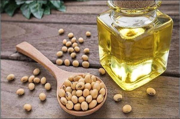 ۲۷۹ تن سویا در مازندران خرید تضمینی شده است