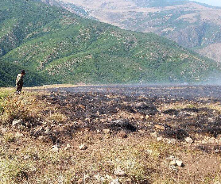 آتش سوزی مراتع کجور - نوشهر همچنان ادامه دارد