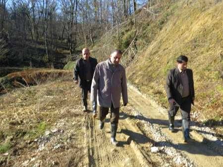 فرماندارنور: درختان مزاحم دربستر رودخانه ها ، سیل را تشدید می کند