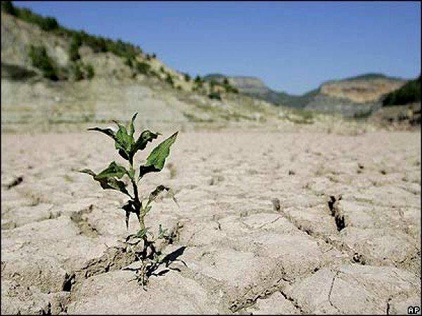 کاهش 15 درصدی بارندگی در چهارمحال و بختیاری