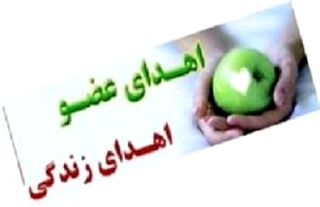 مرد 36 ساله بابلی به چهار نفر حیاتی دوباره بخشید