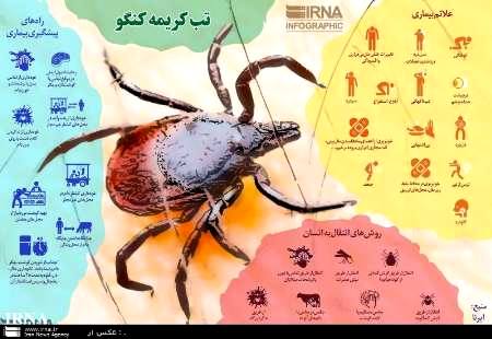 کشتارگاه های سنتی کانون بیماری تب کنگو در مازندران