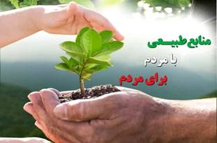 سرانه فضای سبز ساری به بیش از 5 متر رسید