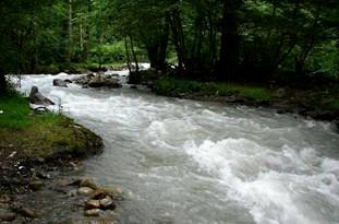 جشن آبانگان نمادی برای پاکی و زدودن آلودگی