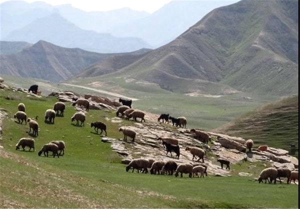 صدور ۱۲۴ فقره سند برای اراضی ملی در مازندران